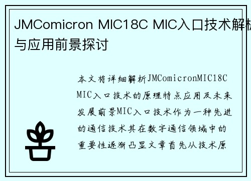 JMComicron MIC18C MIC入口技术解析与应用前景探讨